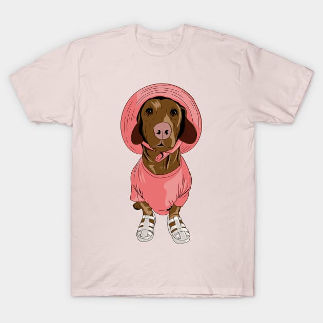 Biscuit in Pink T-Shirt by Biscuit